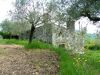 anteprima foto 3 Rustico / Casale Vendita Prata Sannita