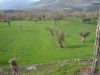 anteprima foto 4 Rustico / Casale Vendita Prata Sannita