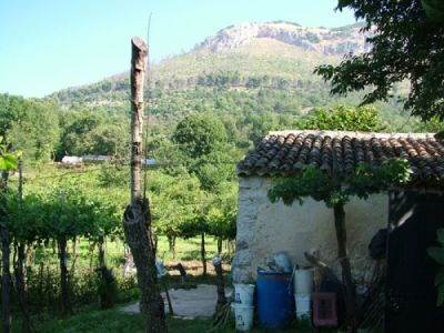 foto Rustico / Casale Vendita Pratella