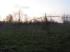 anteprima foto 7 Rustico / Casale Vendita Puglianello