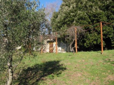 foto Rustico / Casale Vendita Roccastrada