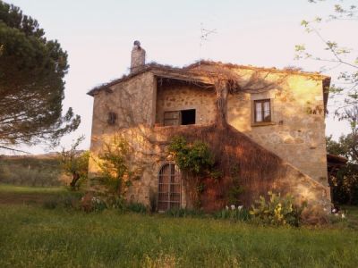 foto Rustico / Casale Vendita Roccastrada