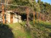 anteprima foto 10 Rustico / Casale Vendita Roccastrada