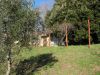 anteprima foto 1 Rustico / Casale Vendita Roccastrada
