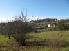 anteprima foto 2 Rustico / Casale Vendita Roccastrada