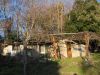 anteprima foto 6 Rustico / Casale Vendita Roccastrada