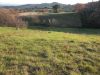 anteprima foto 8 Rustico / Casale Vendita Roccastrada