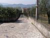 anteprima foto 9 Rustico / Casale Vendita Sant'Angelo D'Alife