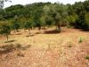 anteprima foto 6 Rustico / Casale Vendita Sant'Elia Fiumerapido