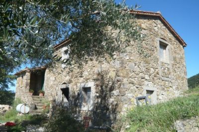 foto Rustico / Casale Vendita Santa Fiora