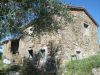 anteprima foto 1 Rustico / Casale Vendita Santa Fiora