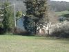 anteprima foto 7 Rustico / Casale Vendita Sassetta