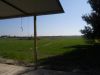 anteprima foto 6 Rustico / Casale Vendita Scanzano Jonico