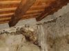 anteprima foto 3 Rustico / Casale Vendita Smerillo