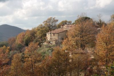 foto Rustico / Casale Vendita Sorano