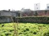 anteprima foto 3 Rustico / Casale Vendita Specchia