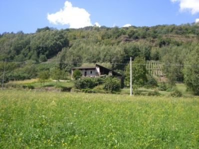 foto Rustico / Casale Vendita Teglio