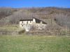 anteprima foto 2 Rustico / Casale Vendita Teglio
