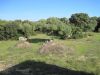anteprima foto 5 Rustico / Casale Vendita Telti