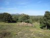 anteprima foto 9 Rustico / Casale Vendita Telti