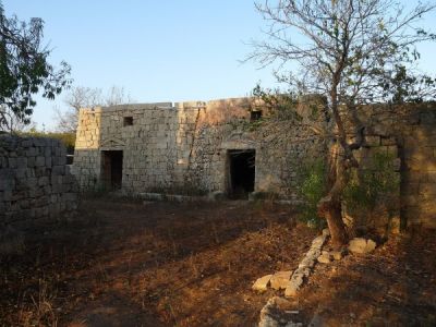 foto Rustico / Casale Vendita Tiggiano