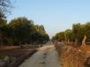 anteprima foto 10 Rustico / Casale Vendita Tiggiano
