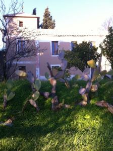 foto Rustico / Casale Vendita Tiriolo
