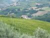 anteprima foto 5 Rustico / Casale Vendita Torino Di Sangro