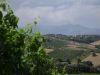 anteprima foto 8 Rustico / Casale Vendita Torino Di Sangro