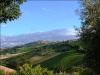 anteprima foto 5 Rustico / Casale Vendita Torre San Patrizio