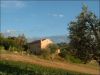 anteprima foto 7 Rustico / Casale Vendita Torre San Patrizio