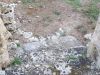 anteprima foto 6 Rustico / Casale Vendita Tricase
