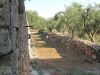 anteprima foto 7 Rustico / Casale Vendita Tricase