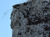 anteprima foto 8 Rustico / Casale Vendita Tricase