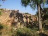 anteprima foto 8 Rustico / Casale Vendita Tricase
