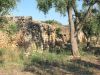 anteprima foto 9 Rustico / Casale Vendita Tricase