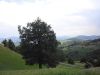 anteprima foto 2 Rustico / Casale Vendita Valmozzola