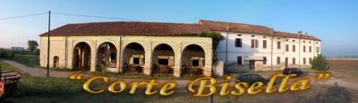 foto Rustico / Casale Vendita Viadana