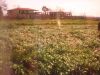 Rustico / Casale Vendita Villa Literno 