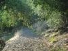 anteprima foto 7 Terreno Vendita Ali' Terme