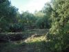 anteprima foto 9 Terreno Vendita Ali' Terme