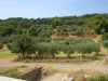 anteprima foto 6 Terreno Vendita Amendolara