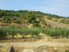anteprima foto 7 Terreno Vendita Amendolara