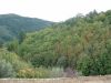 anteprima foto 1 Terreno Vendita Atena Lucana