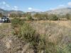 anteprima foto 10 Terreno Vendita Capestrano