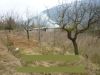 anteprima foto 2 Terreno Vendita Capriati A Volturno