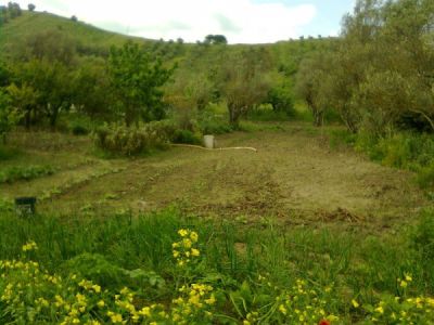 foto Terreno Vendita Caraffa Di Catanzaro