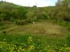 anteprima foto 1 Terreno Vendita Caraffa Di Catanzaro