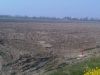 anteprima foto 7 Terreno Vendita Casalino