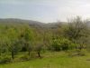 anteprima foto 2 Terreno Vendita Castel Di Sasso